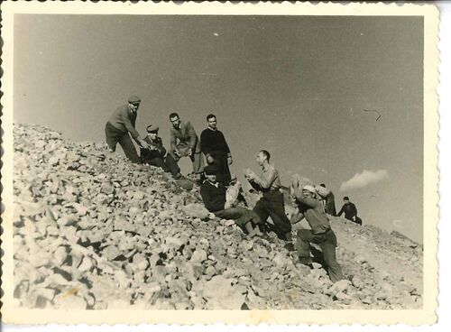 Numerus Clausus and Labour Service (Testimony of Arnold Berkovits)